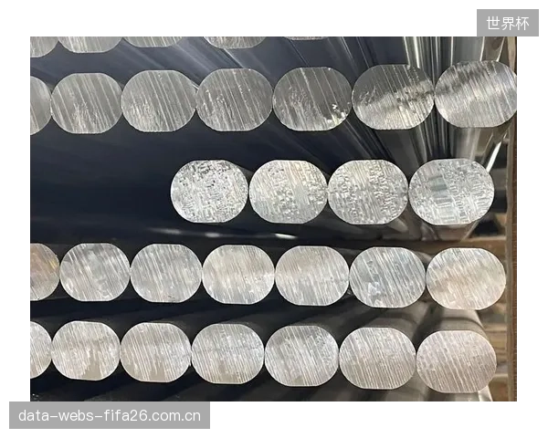 西南铝业7075铝棒实现全链条追溯,支撑高端滑雪鞋搭扣的军工级品控 西南铝业7075铝棒实现全链条追溯,支撑高端滑雪鞋搭扣的军工级品控